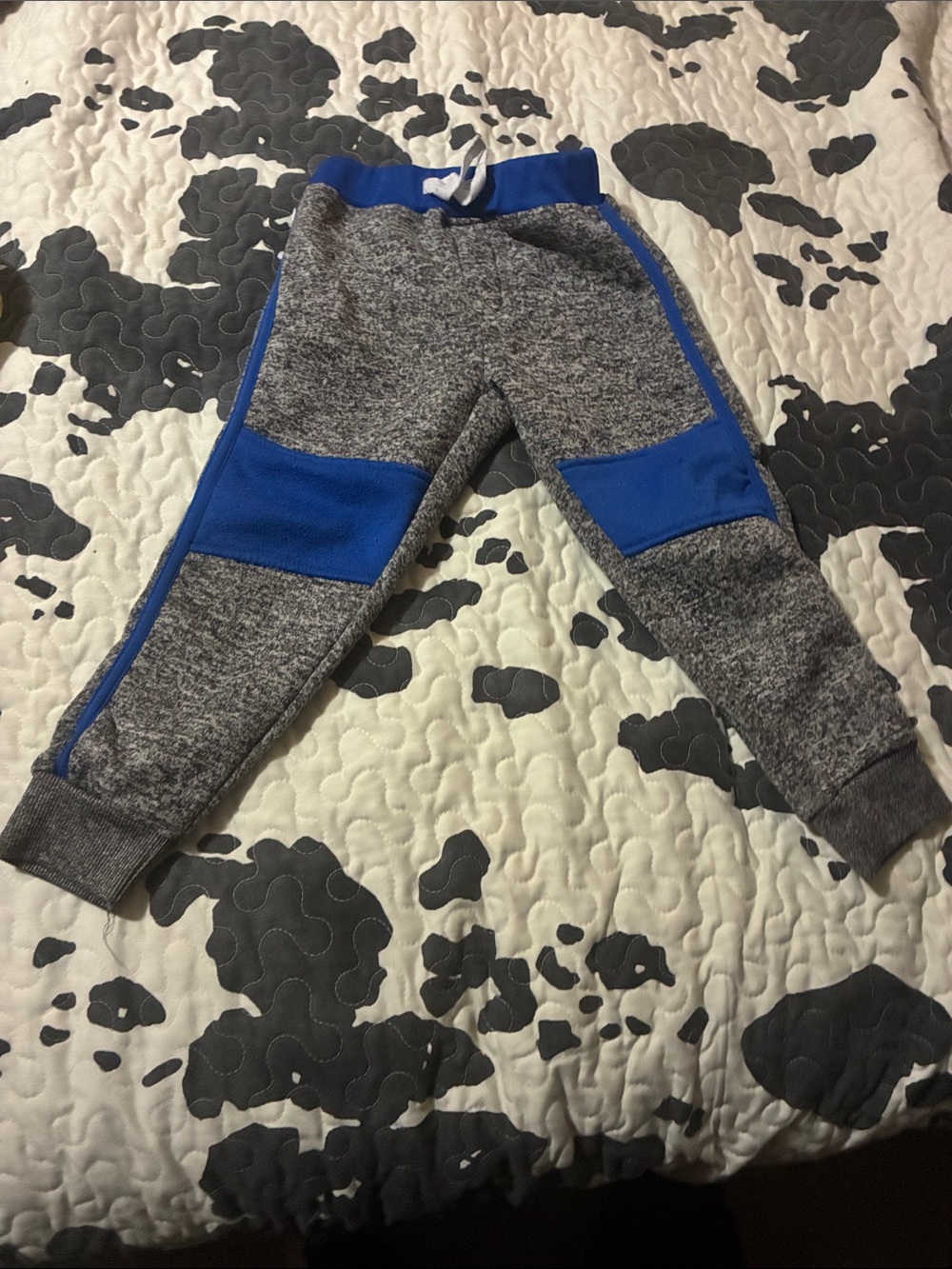 Nickelodeon Gray and Royal Blue Jogger Sweatpants